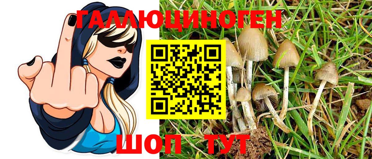 Псилоцибиновые грибы MAGIC MUSHROOMS  Вход с VPN  наркотики  Самара 