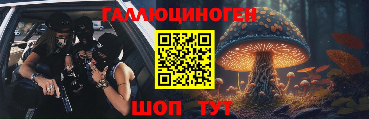 Галлюциногенные грибы Psilocybine cubensis Самара